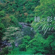綾の彩り　The Color of AYA 